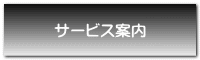 サービス案内